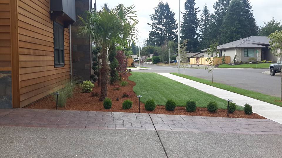 New View Irrigation & Landscaping Services WA Get a Bid BuildZoom