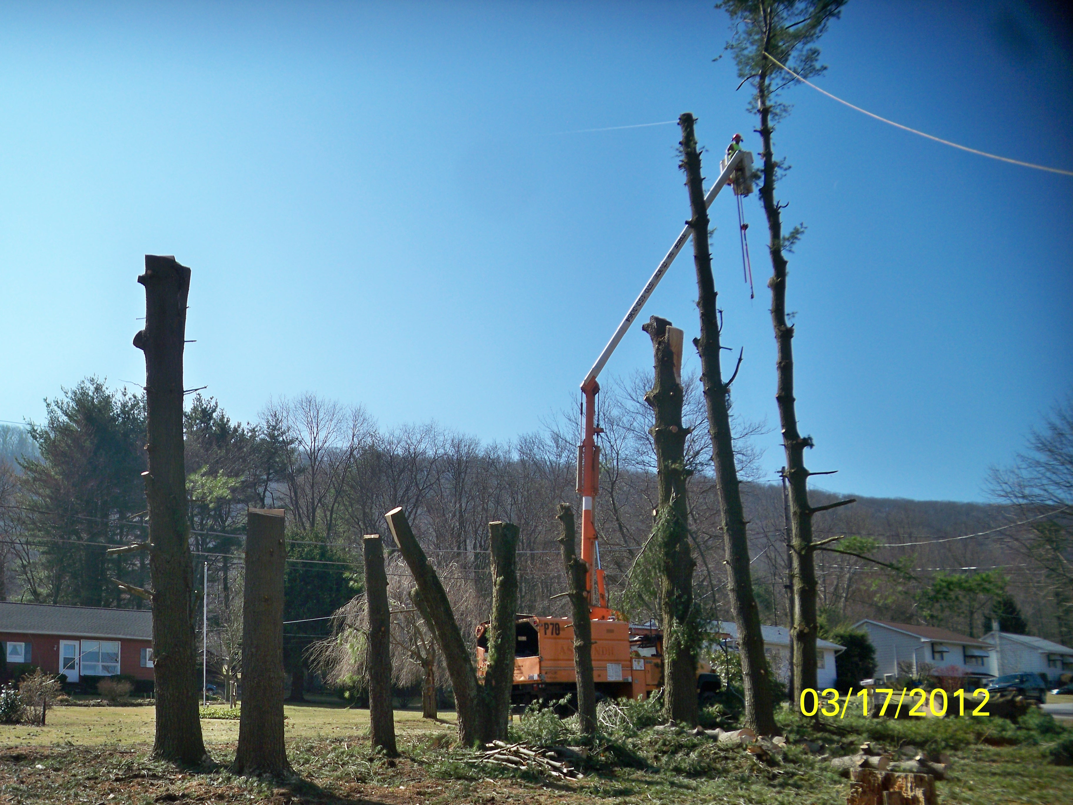 Kendall Lawn and Garden Services Hazleton PA Get a Bid BuildZoom