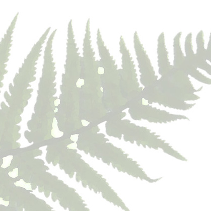 Charles Earl Landscape Architecture LLC