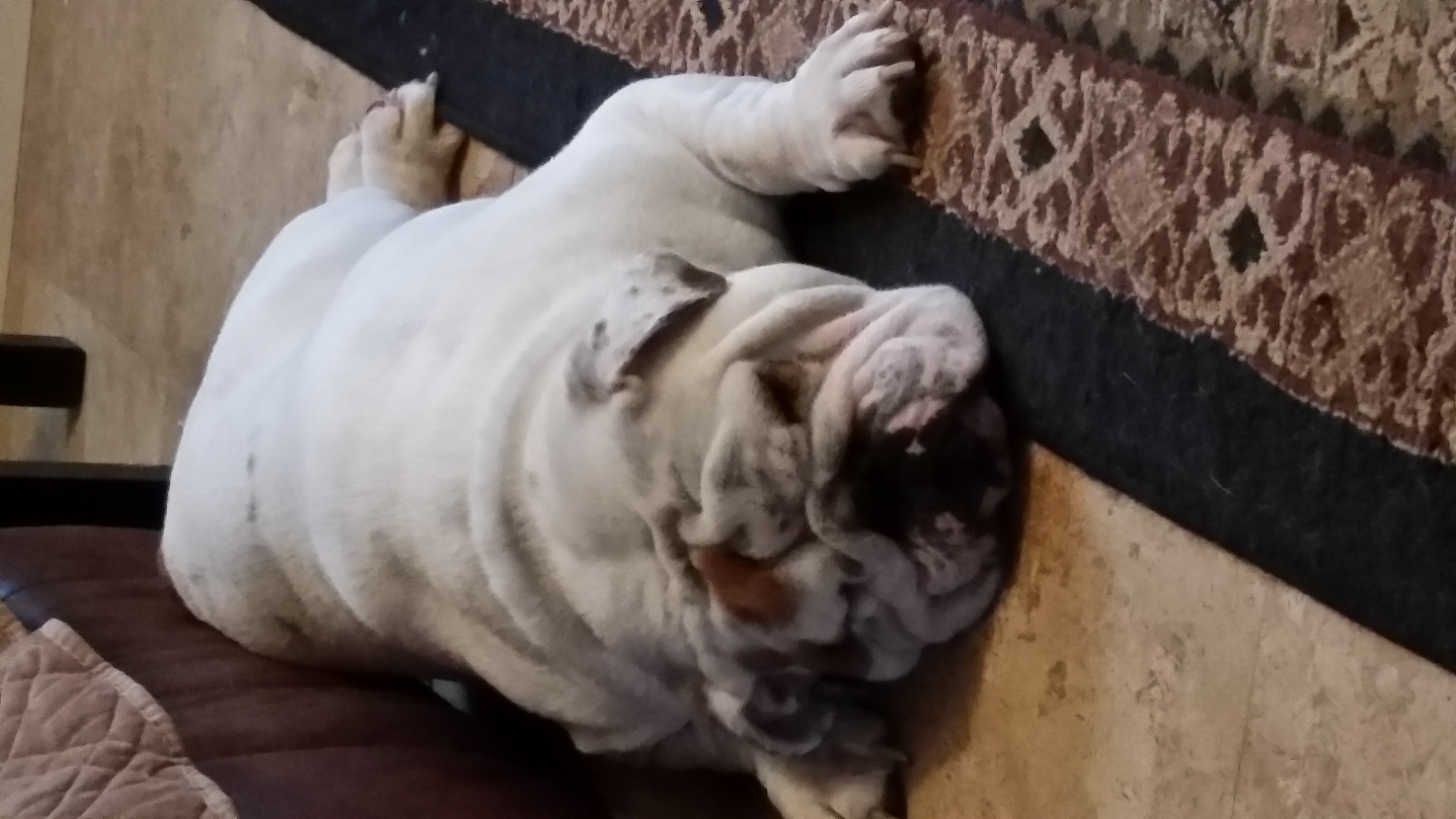 Valley Residential Services Llc