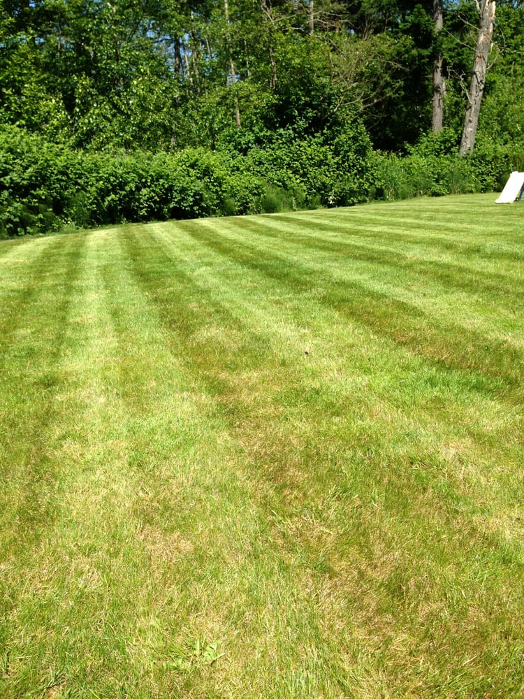 Lgm Outdoor Services