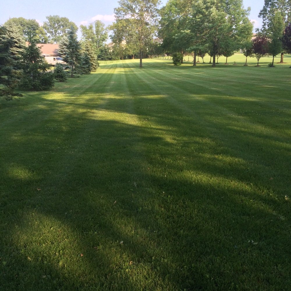 Photos from Superior Land Care Inc