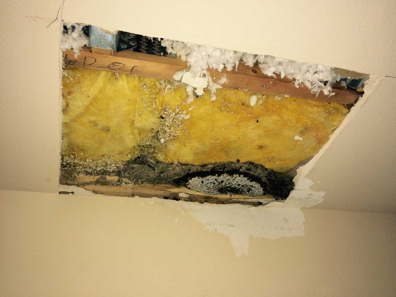 Photos from Sharps Drywall Repair