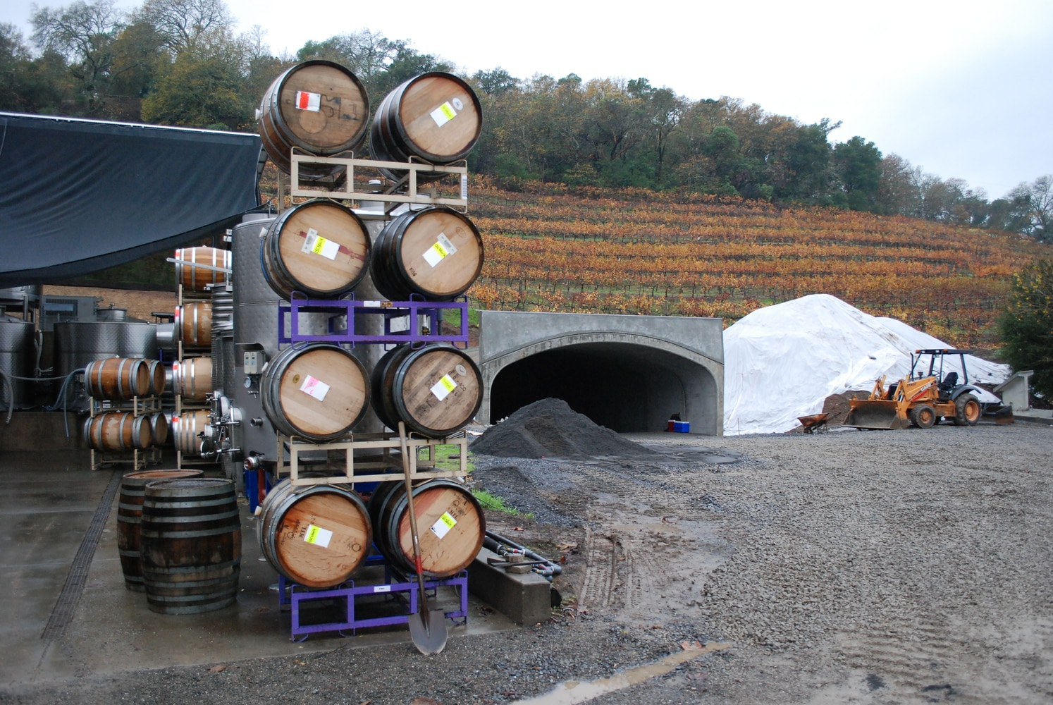 Sonoma County Winery