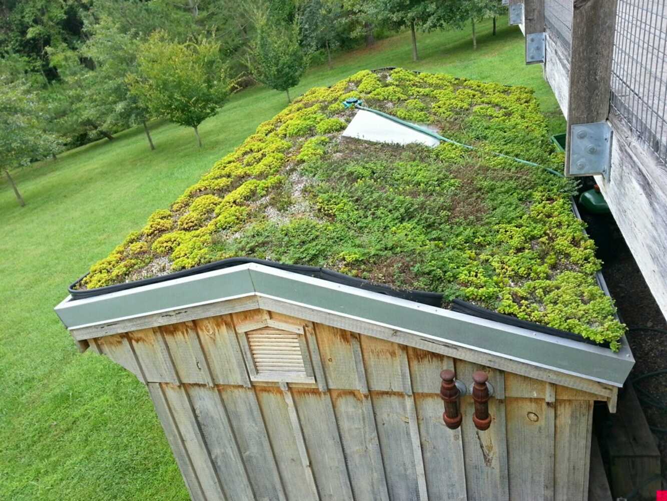 Vegetated Roofs