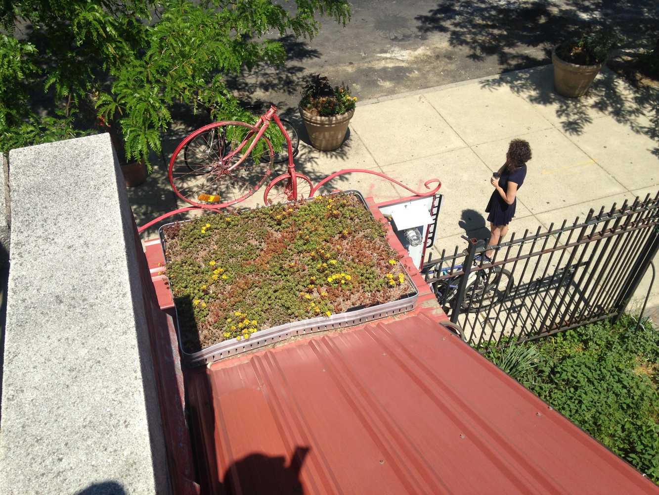 Vegetated Roofs