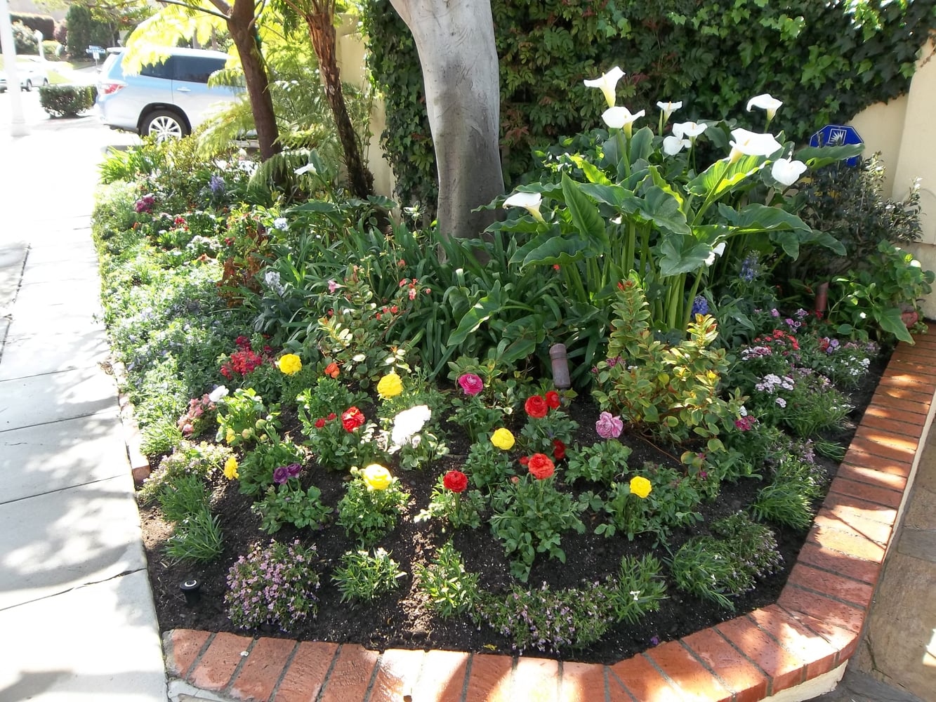 Photos from All - Seasons Landscape Construction & Management