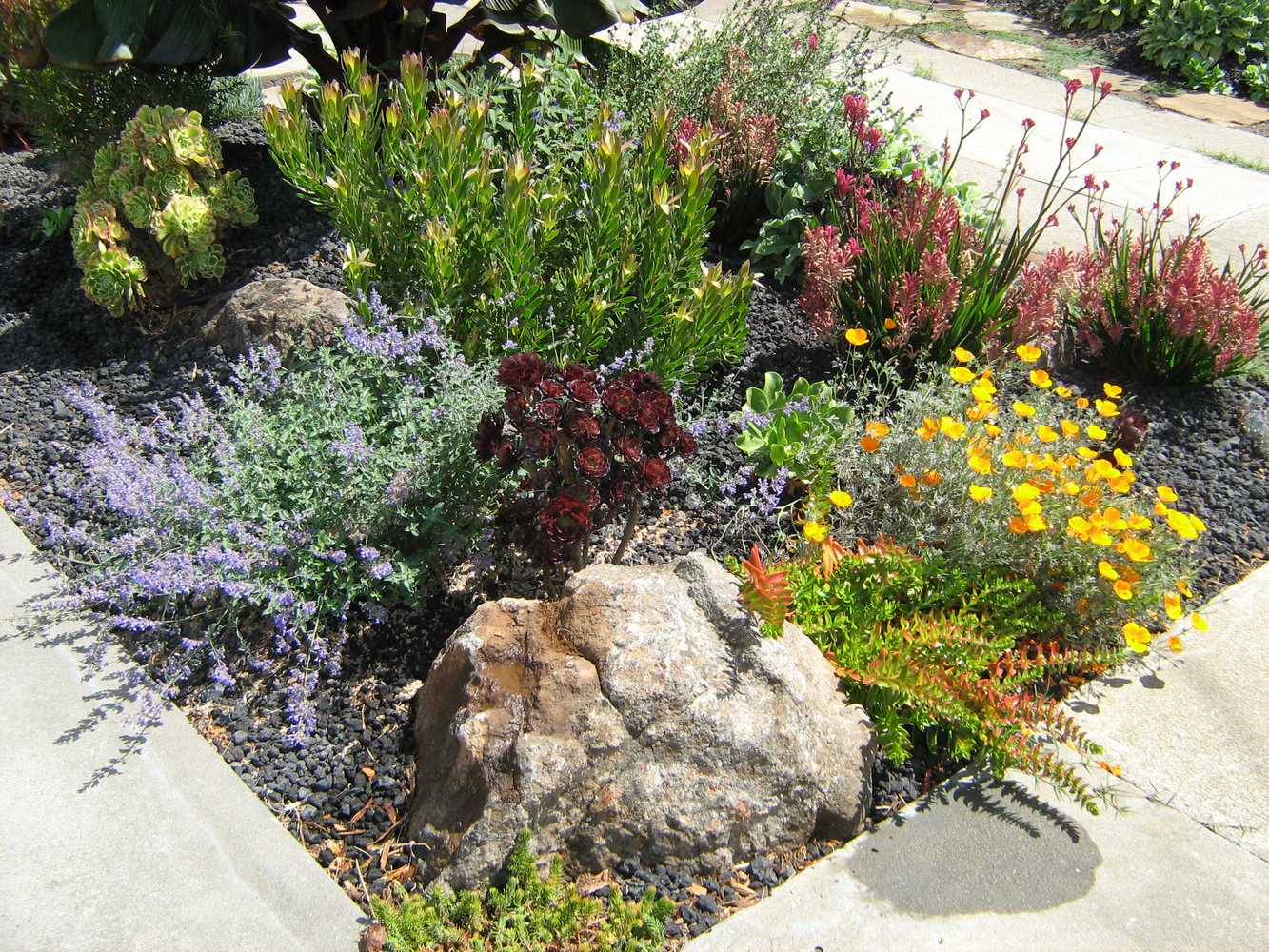 Frank Jaffe Landscape Services Project