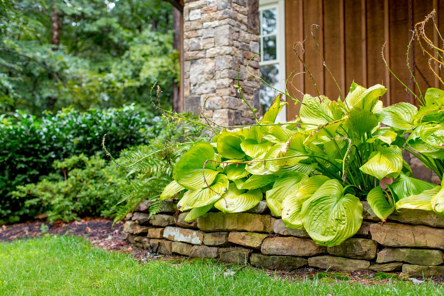 Knoxville Landscaping Company