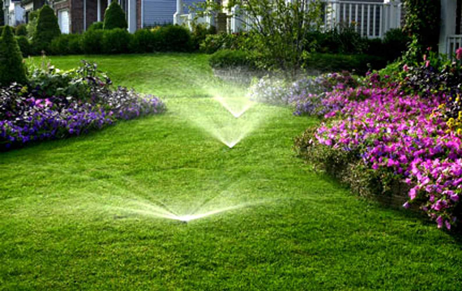 Lawn Sprinkler System