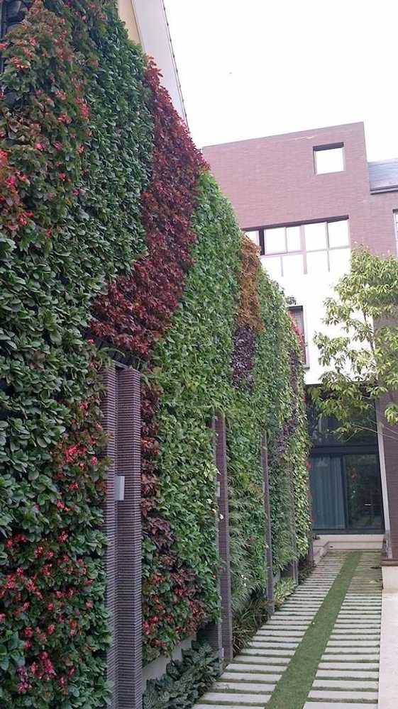 Vertical Gardens