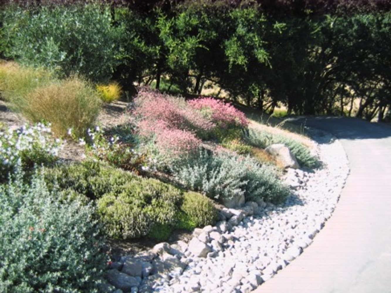 Sonoma County pond and residence hardscaping