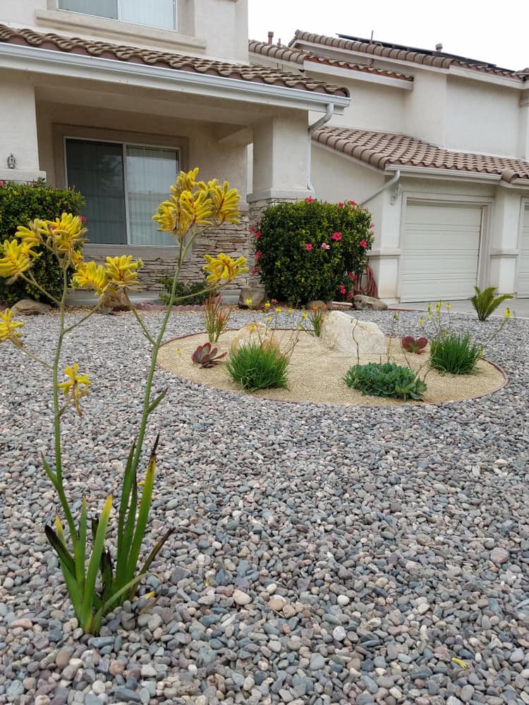 Chula Vista Xeriscape