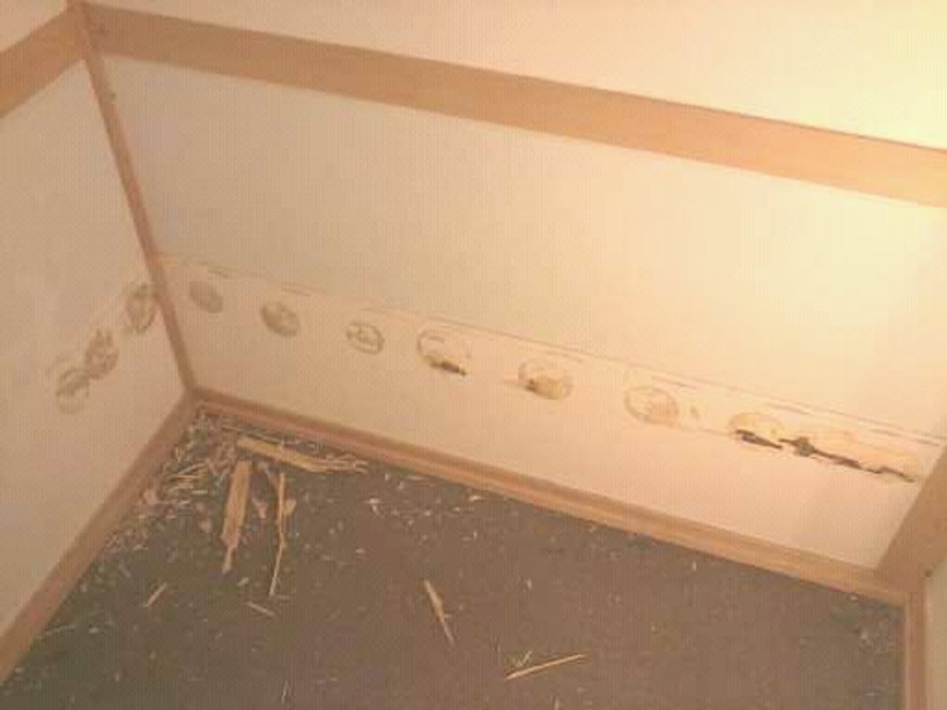 Painting Services of WI Project 1