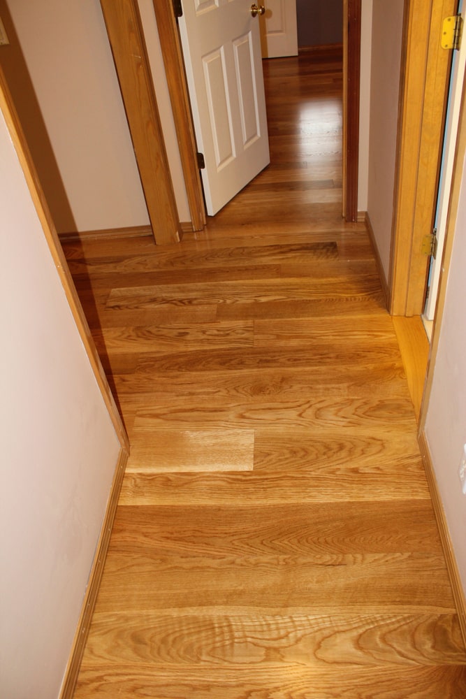 Samples and projects. 