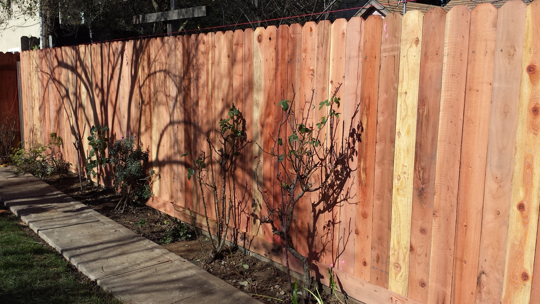 Redwood Fencing
