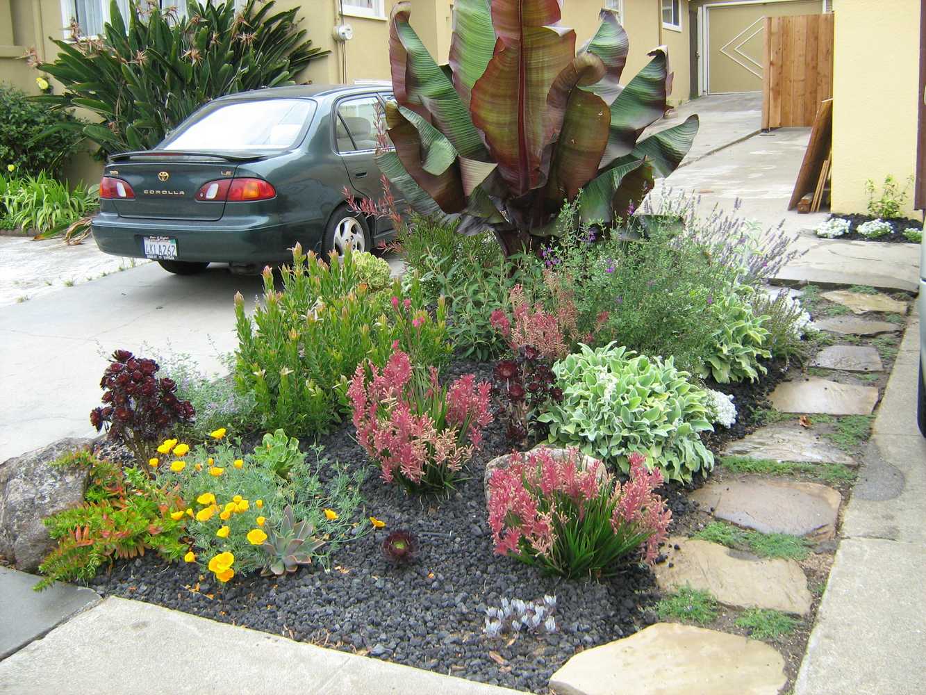 Frank Jaffe Landscape Services Project