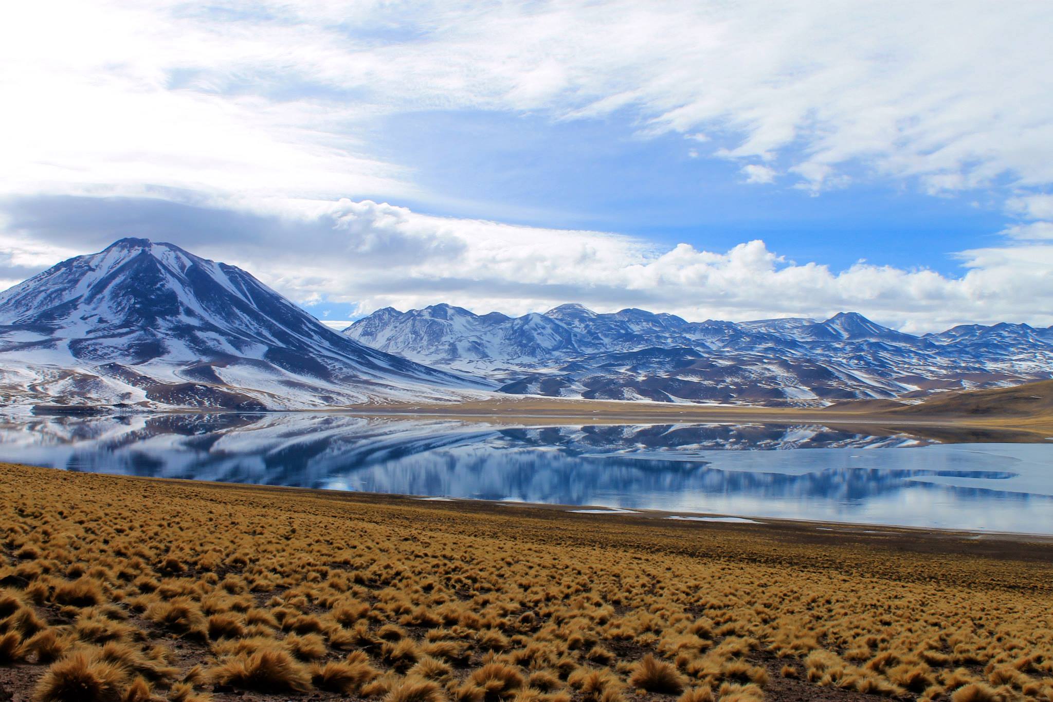 Nate Robert Test Profile