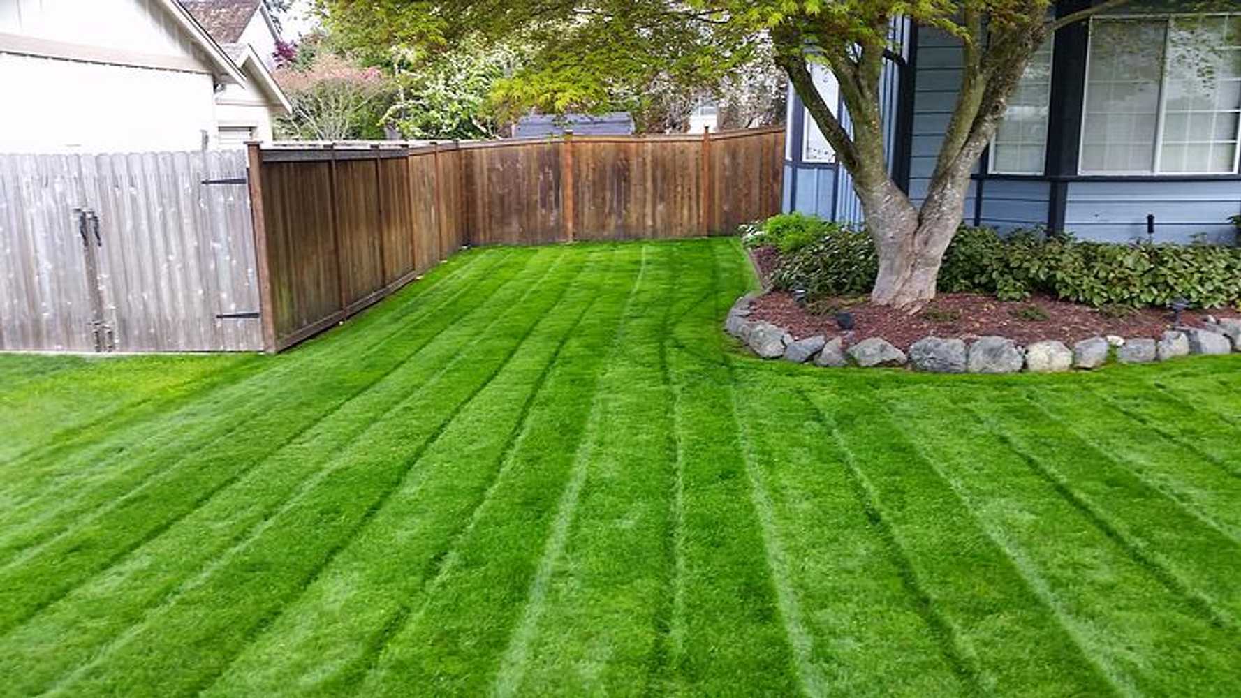 Lawn Maintenance