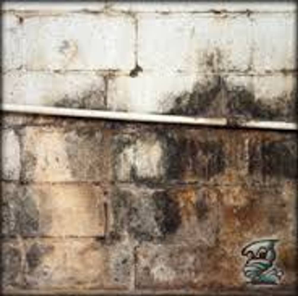 Photo(s) from Restorers.com