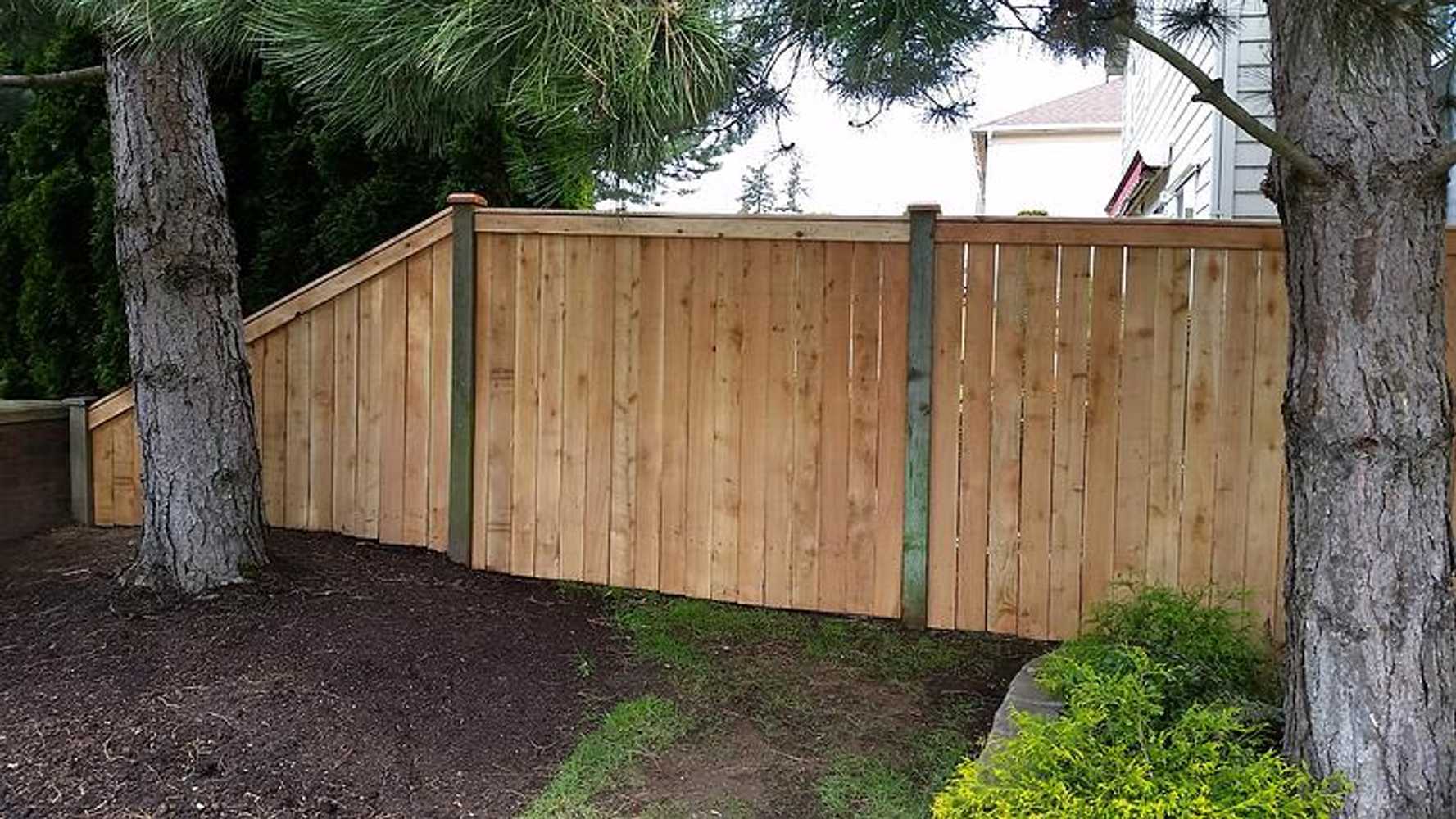 Cedar Fences