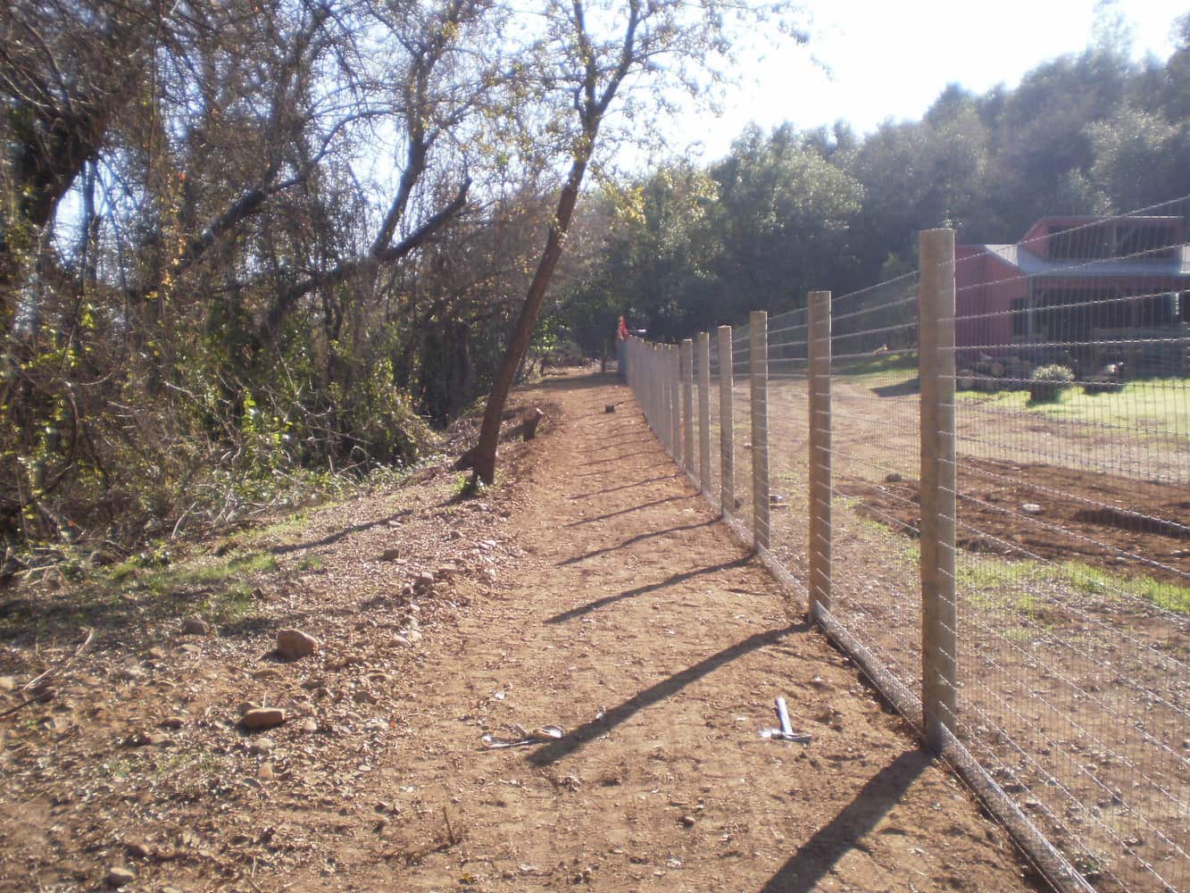 Fence Enclosure for Rescued Cats