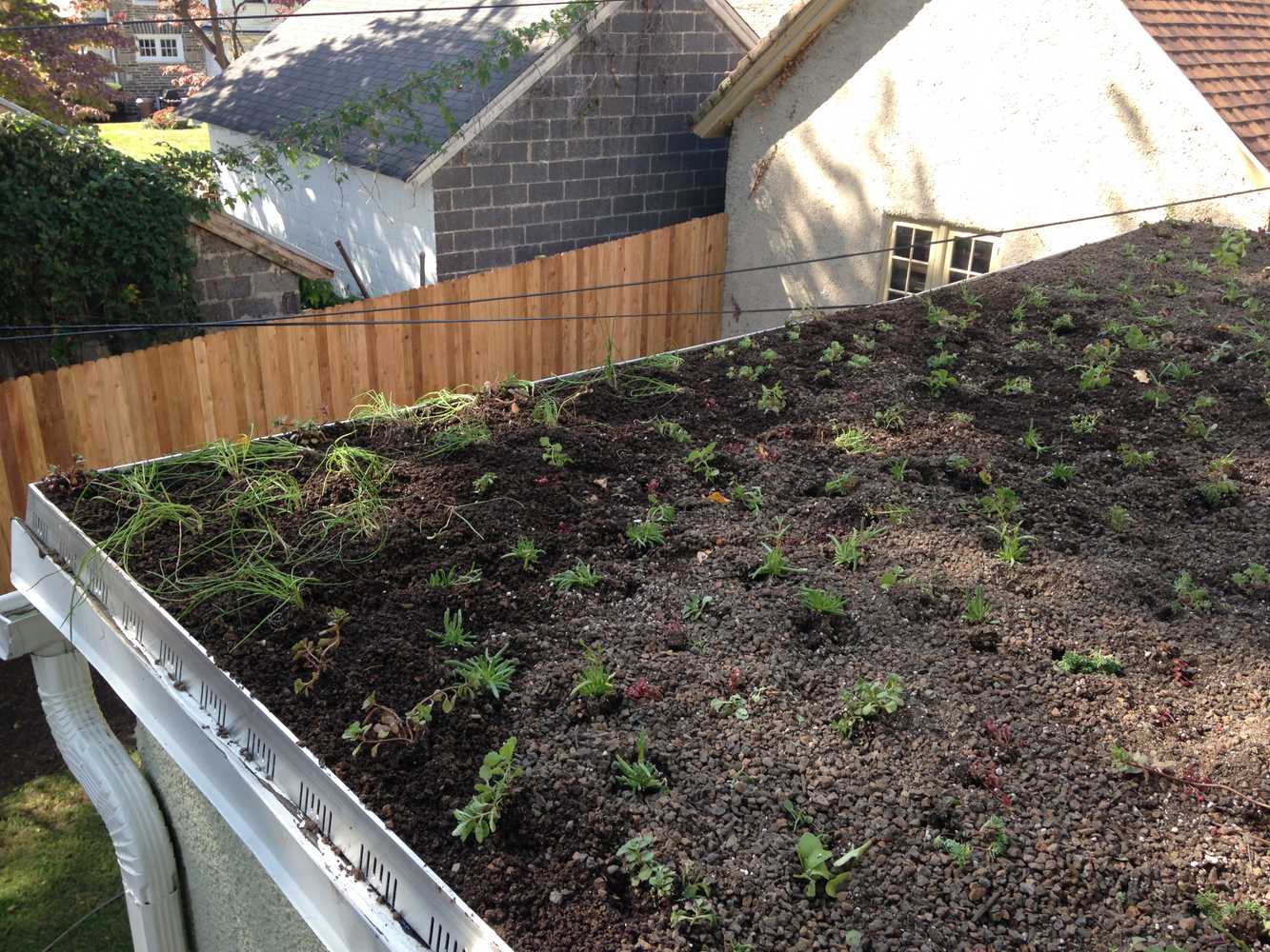 Vegetated Roofs