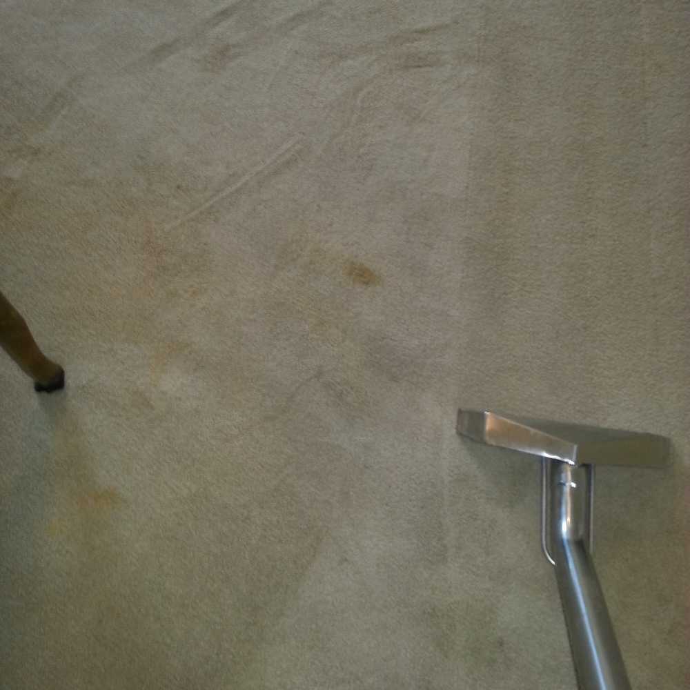 Photos from Aggressive Marble & Stone Care