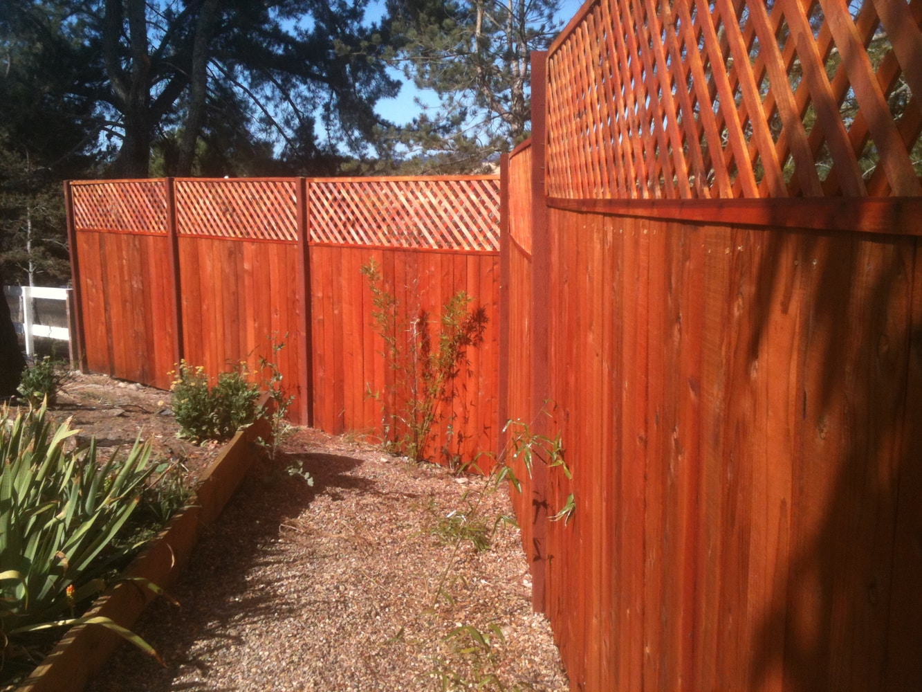 Photo(s) from Roberto Redi