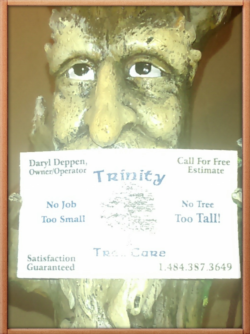 Trinity Tree & Shrub Care