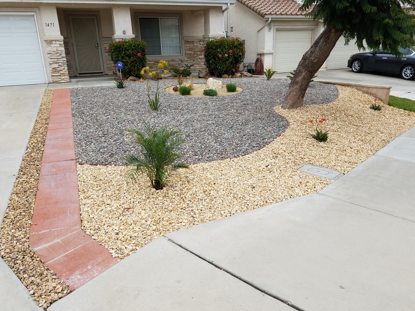 Chula Vista Xeriscape