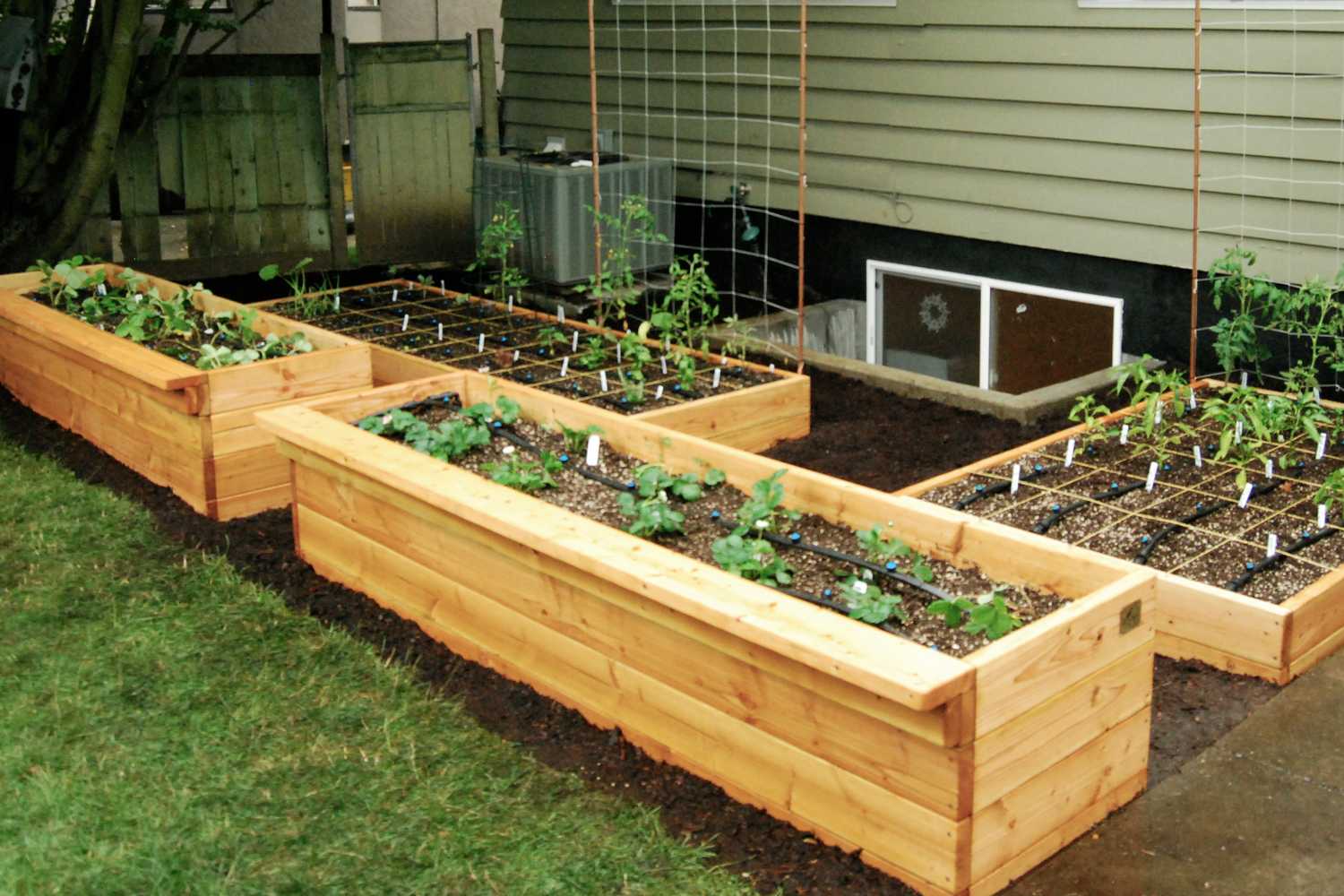 20 raised beds in a rural area