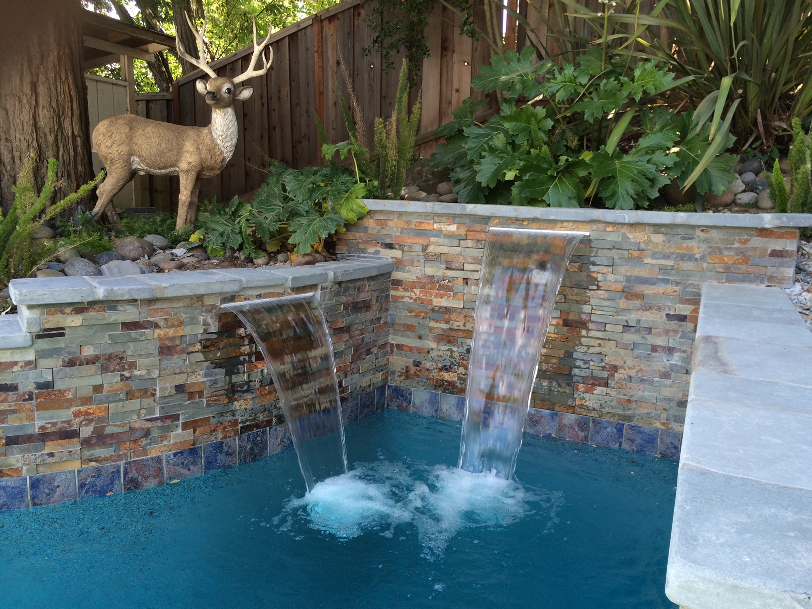 Photos from Quality Pool & Construction Inc.