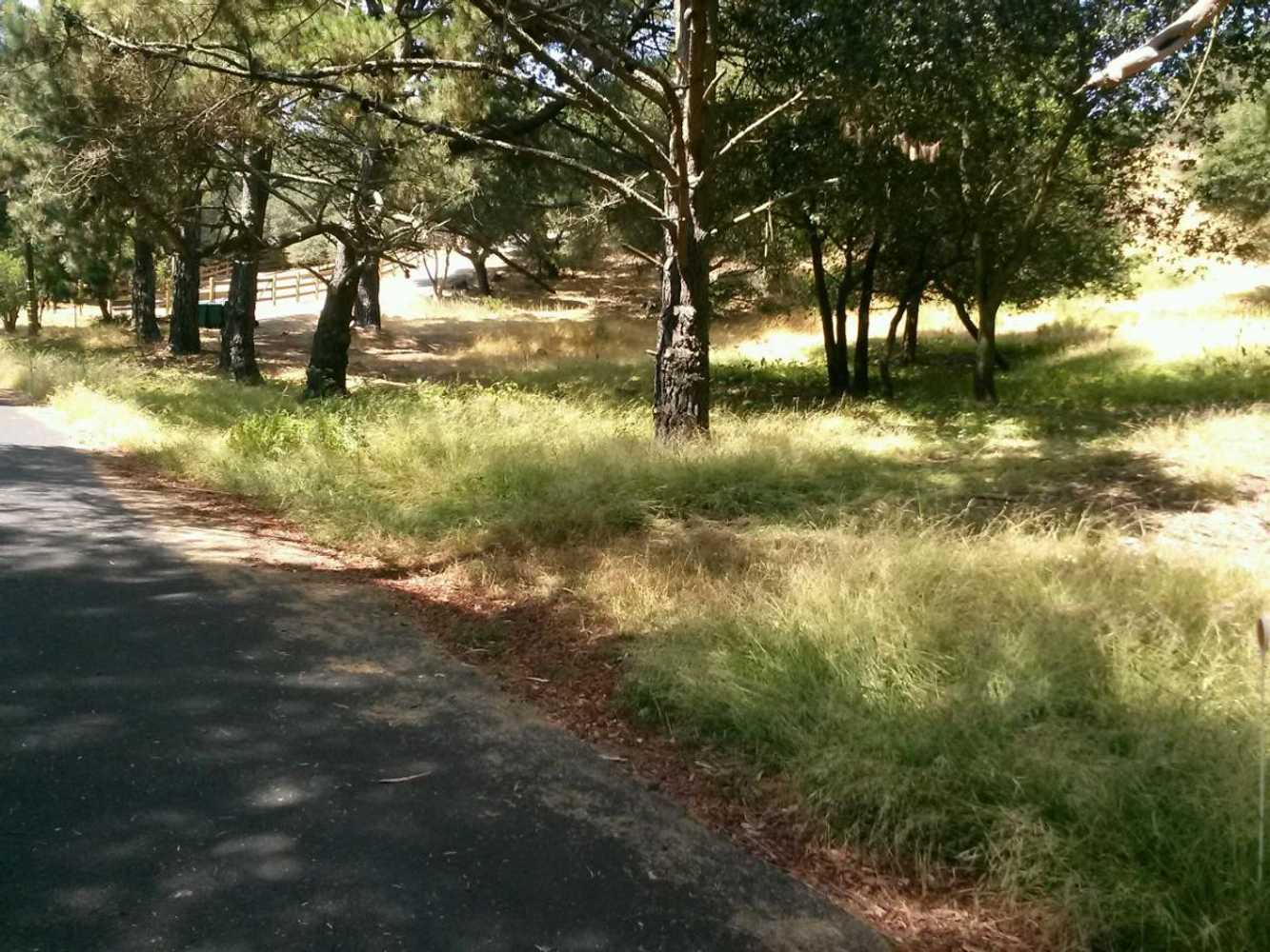 Oakland Hills Brush Clearing 