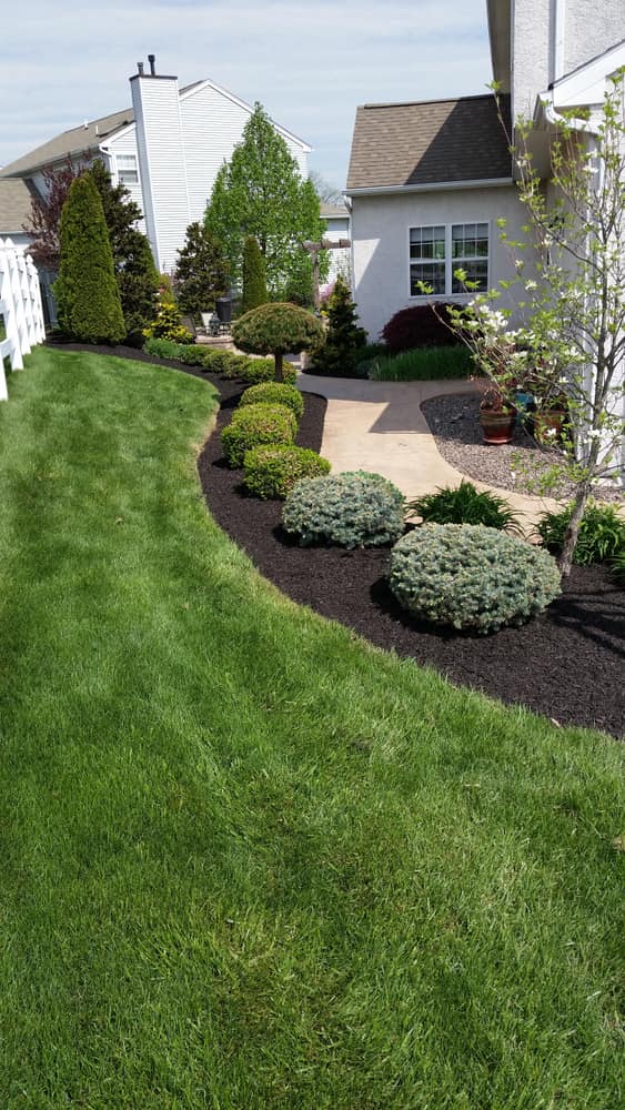 Photo(s) from Stripes Of Green