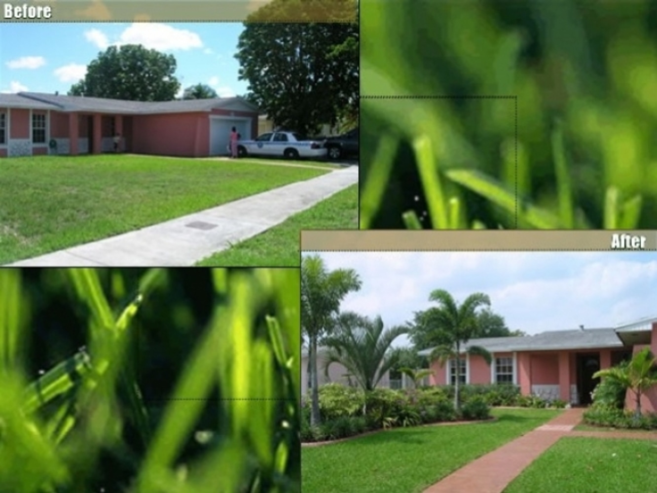 Landscape Design & Installation