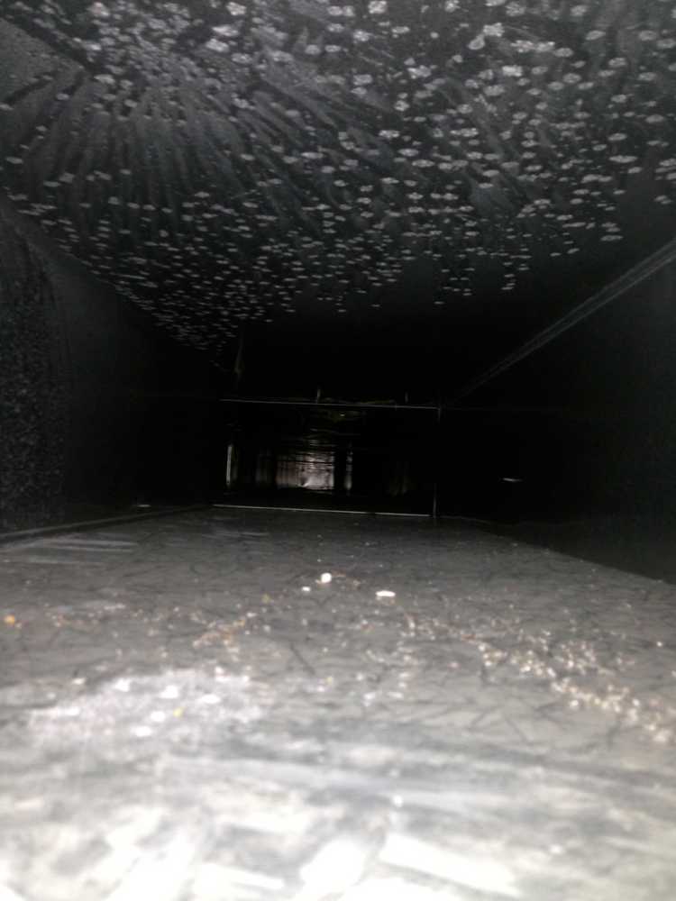 Photo(s) from All Island Duct Cleaning, Inc.