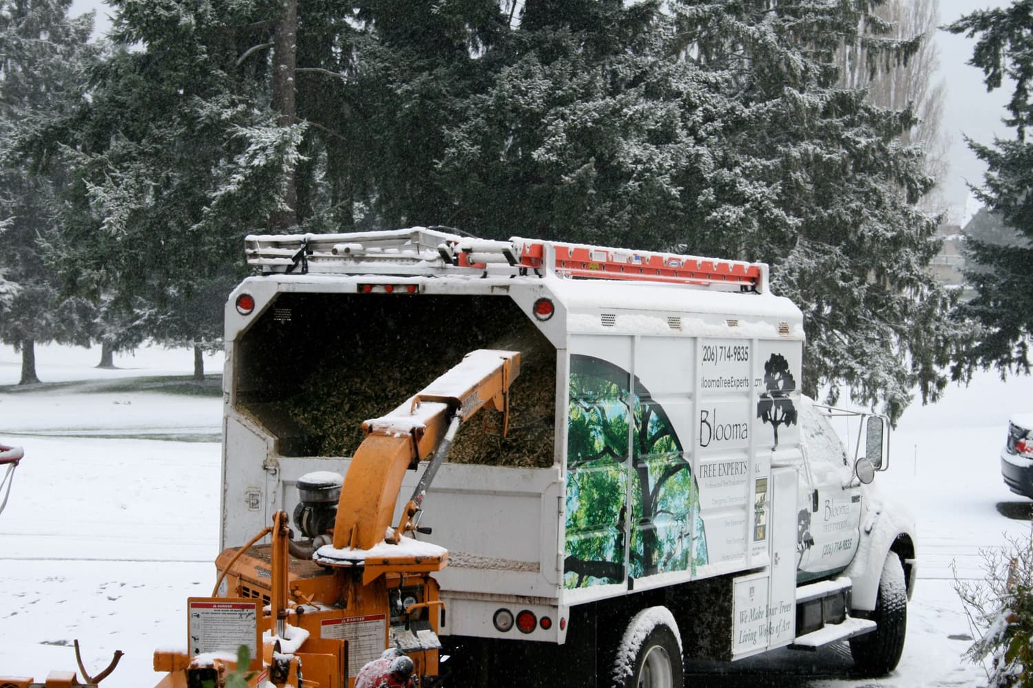 Blooma Tree Experts LLC