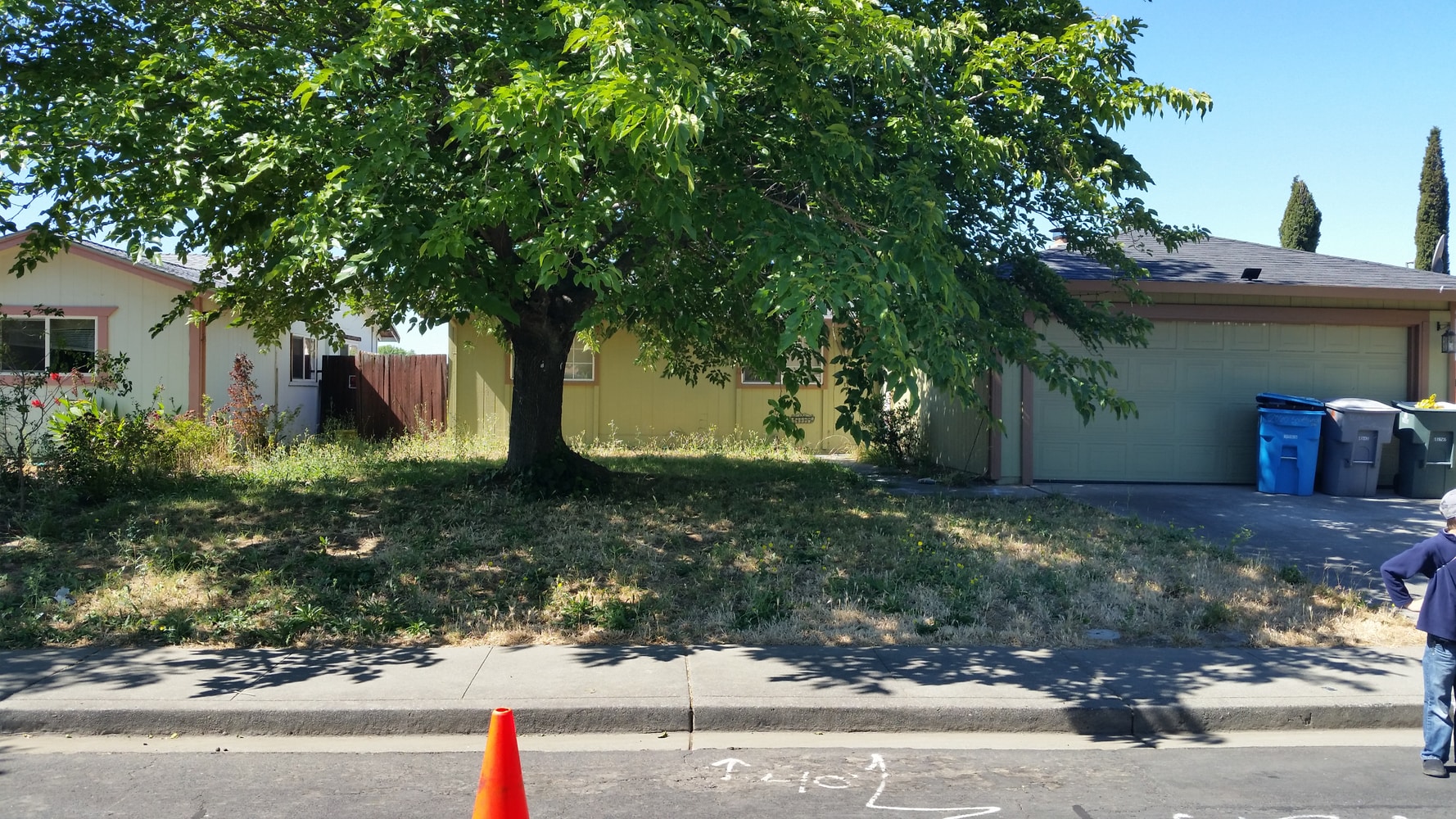 Photo(s) from A-2-Z Landscaping