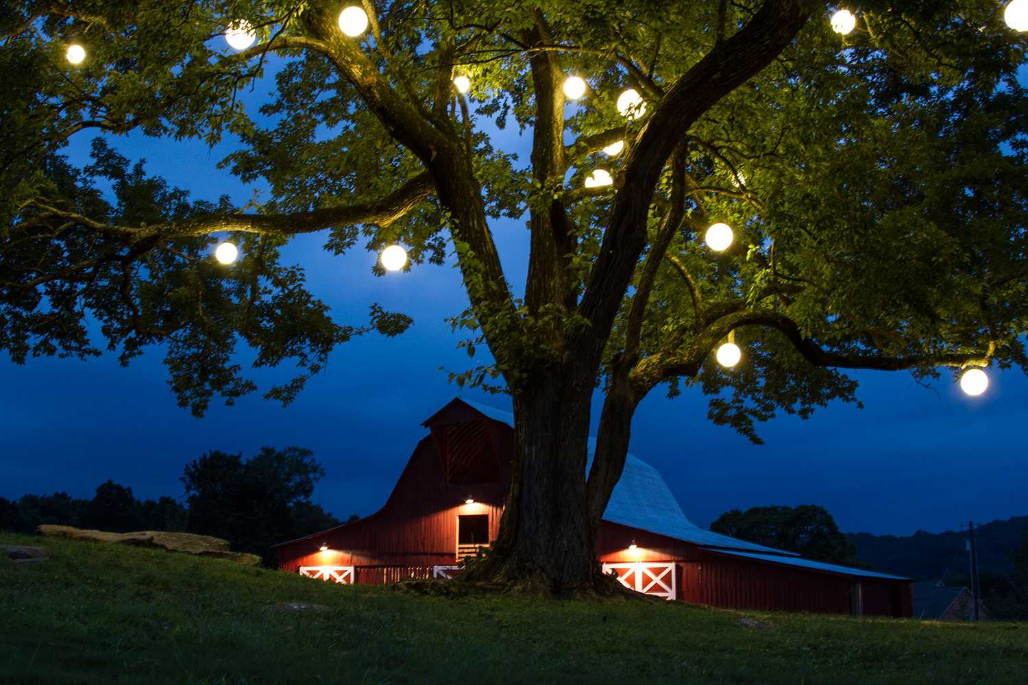 Festive & String Lighting