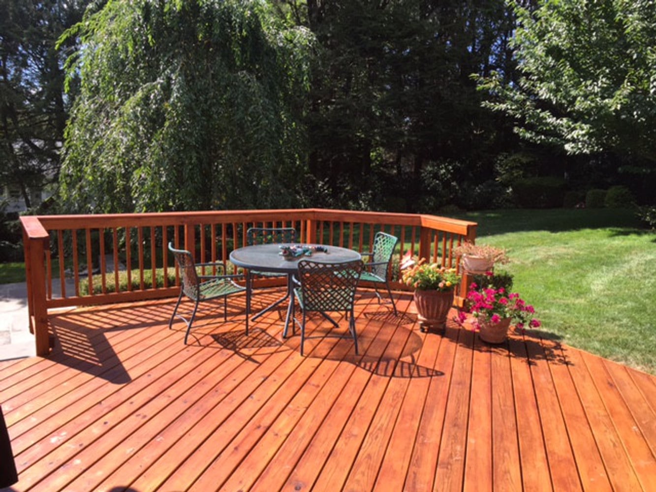 Photos from Michael Delacy