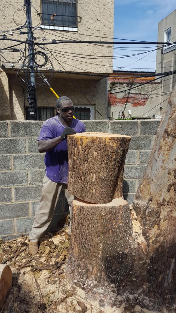 Photos from bailey's Hauling and construction 