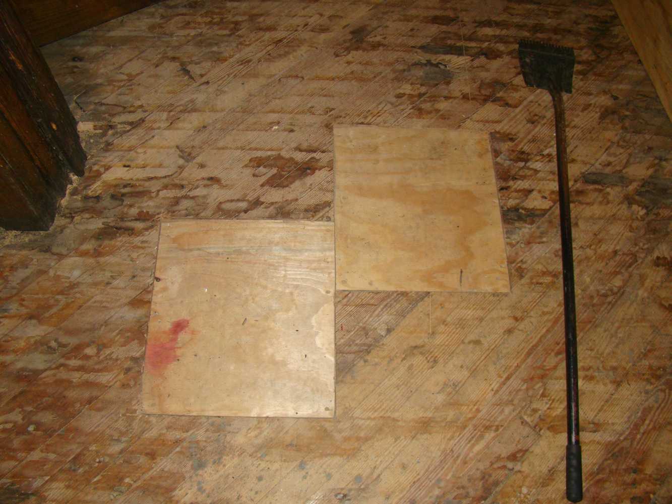 Fraternity Floor