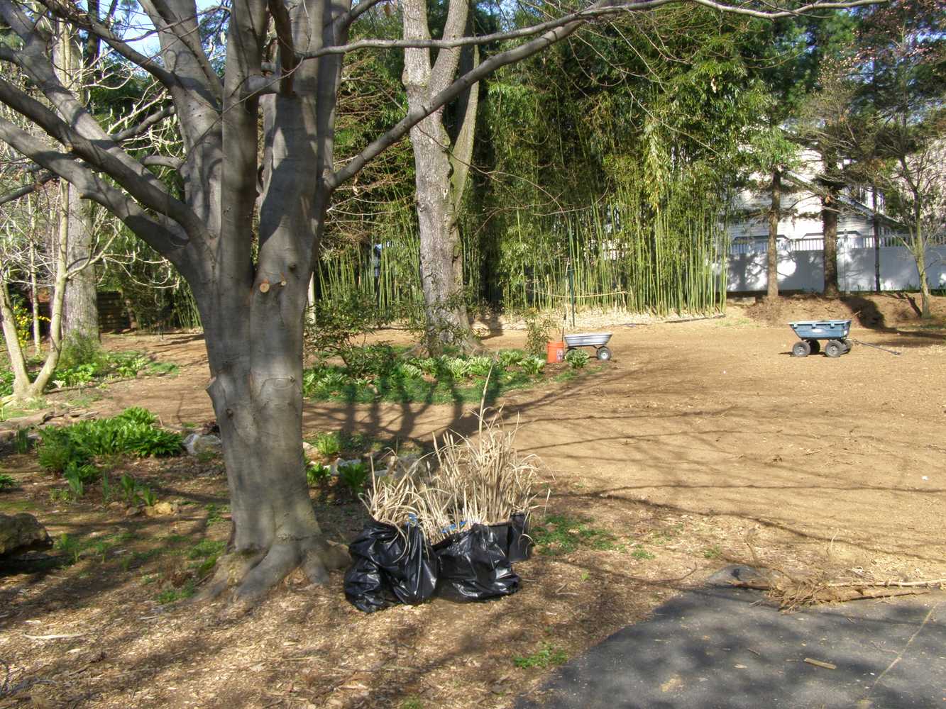 LAWN INSTALLATION SEED PREP JOB SITE