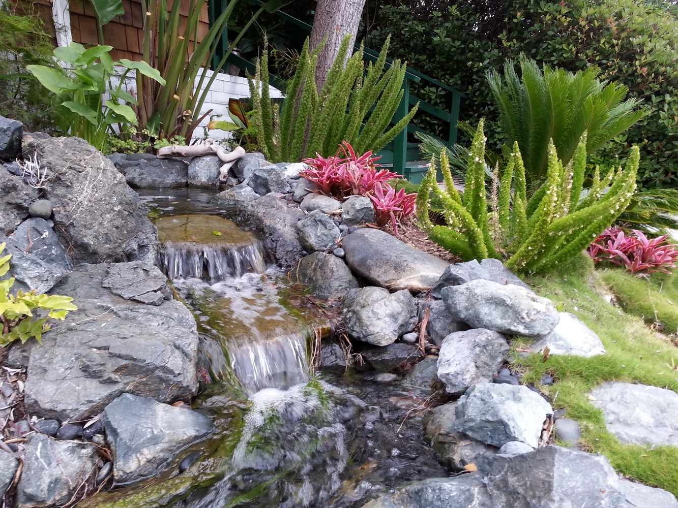 Landscaping in Malibu