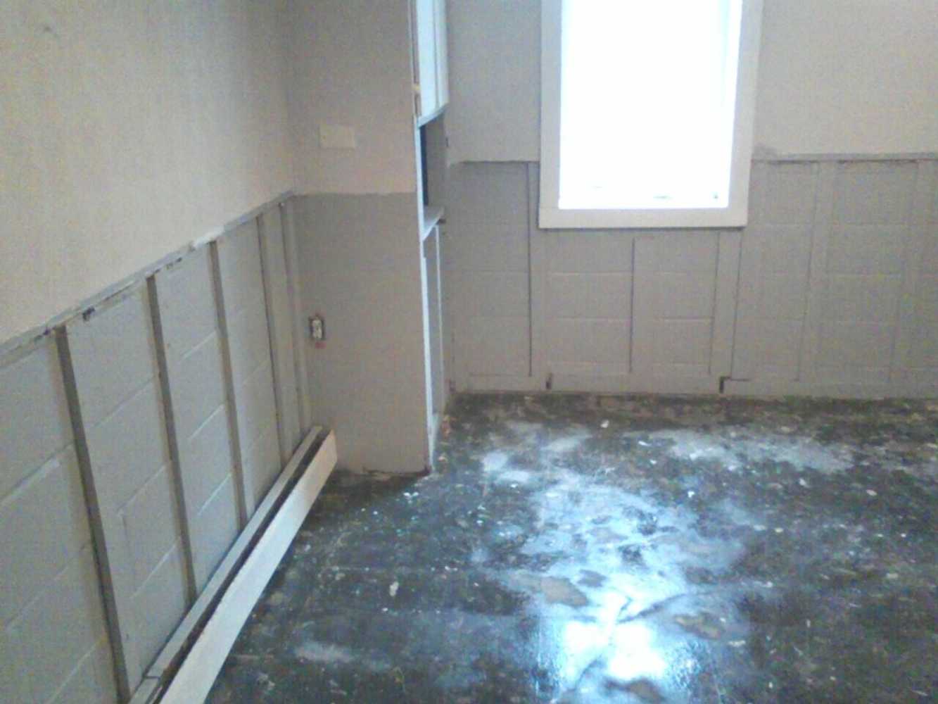 Carpet & Paint To Mold Remediation 