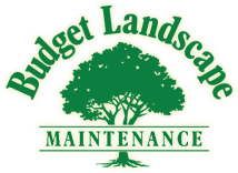 budget landscaping inc