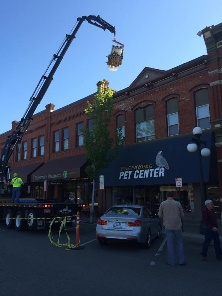 Photo(s) from RODEO ROOFING