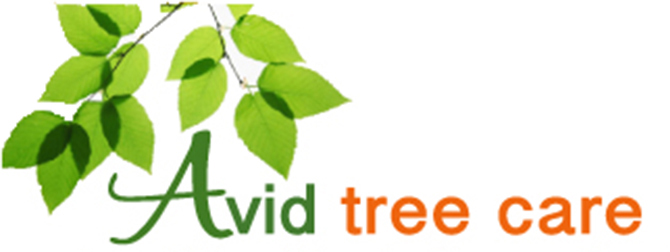 Avid Tree Care