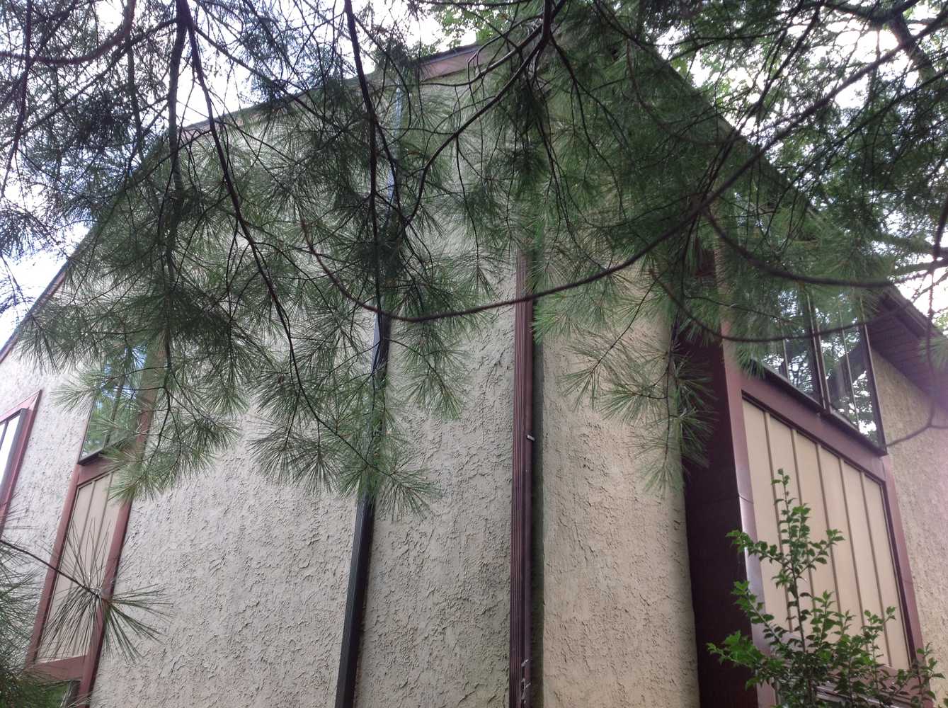 Exterior Stucco Power wash and repaint Photos